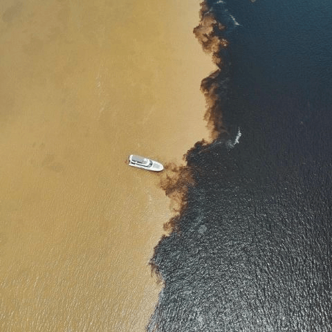 Rios Negro e Solimões